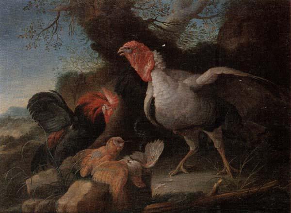 unknow artist Still life of a turkey,a bantan,a barn owl and a grey partridge in a rocky landscape Germany oil painting art